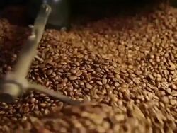 Coffee beans in a roaster Stock Footage