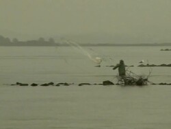 Traditional fishermen running and throwing nets as dolphins herd fish towards them, Laguna, Brazil [Brasil] Stock Footage