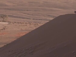 Two people walking on sand dune, Sossusvlei, Namib-Naukluft, Namibia Stock Footage