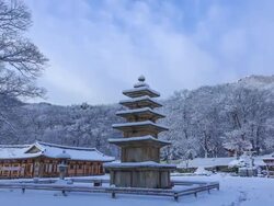 Snow scene of Ocheungseoktap(Stone Pagoda, Korea Treasure 185) and Seokdeung(Stone Lantern, Korea Treasure 233) at Muryangsa temple Stock Footage