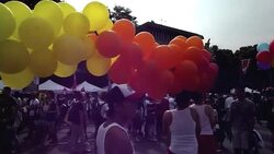 CLEAN : Thousands rally for gay News Clip