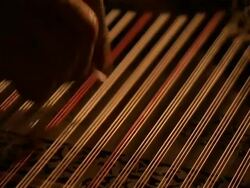 CU hands strumming Kanun, an Arabic musical instrument, Syria (sound available) Stock Footage