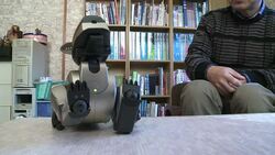 VOICED : In Japan robot dogs are for life and death News Clip