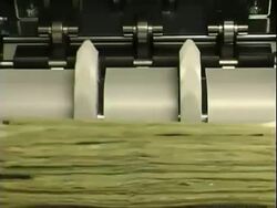 Cash money. Dollar bills counter. Stock Footage