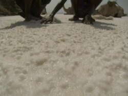 Medium tilt-up - Tribal children gather salt from a vast plain in Djibouti. / Djibouti Stock Footage