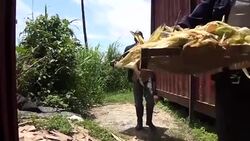 VOICED : Cameroon start up offers clean streets cleaner fuel News Clip