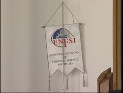 Interview with DNA expert about plane crash investigation News Clip