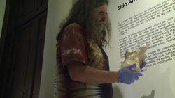 CLEAN : Fossils found in Uruguay arouse debate amo News Clip