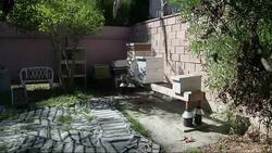 The city of Los Angeles is buzzing over a proposal to allow urban beekeeping despite concerns over killer bees. On Wednesday, the City Council will vote on whether to begin the process of granting bees legal status in LA's residential areas. (Feb. 12) News Clip