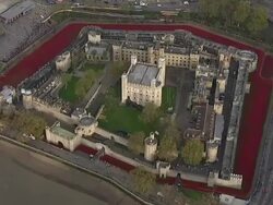 ARMISTICE DAY 2014 Tower of London Poppies Aerials News Clip