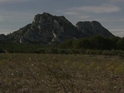 A tree farm lines the base of a mountain in France. Stock Footage