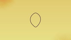 TED-Ed: Why are human bodies asymmetrical? - Leo Q. Wan Instructional Video