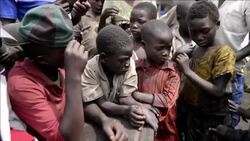 CLEAN : DRCongo: thousands of displaced flee the f News Clip