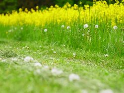 Riding Electric Mountain Bike Medium Shot (4K/UHD to HD) Stock Footage