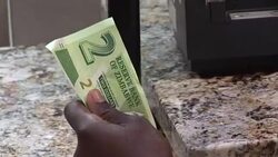 CLEAN : Unease as Zimbabwe rolls out surrogate dollars News Clip