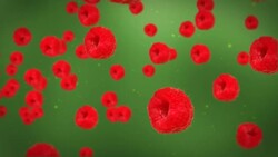 Red raspberries float against a shady green background. Stock Footage