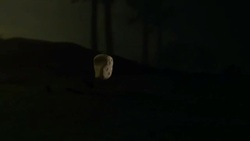 A dinosaur kicks a rock that tumbles down a slope and becomes an asteroid in a computer generated animation. Stock Footage