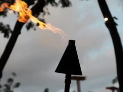 Torch 1 Stock Footage