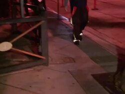 Derek Hough as Panda Police Bear entering Hooray Henry's in West Hollywood Stock Footage