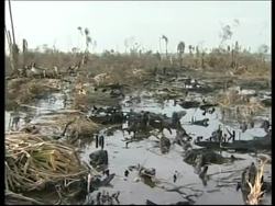 Smog lifts after heavy rains put out forest fires News Clip