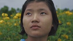 M/S SLO MO Myanmar teenage girl in a field of yellow mums, rain Stock Footage