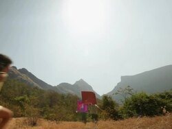 Group of kids flying kite in the forest Stock Footage