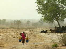 WS, Woman carrying water through arid landscape, Niamey, Niger Stock Footage