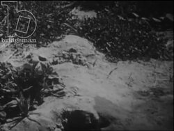 Irrigation and agriculture in Morcocco, c.1960 Stock Footage