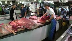 Vendors work at the Tsukiji Market in Japan. Stock Footage