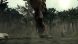 A Tyrannosaurus Rex chases a Triceratops: an animation depicts the skeletal and nerve anatomy of a dinosaur's head and brain. Stock Footage