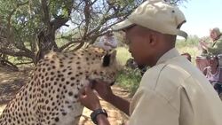 Getting the fine details really up close on art safari Instructional Video