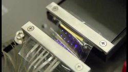 Electronic Tattoo Monitors Brain, Heart And Muscles Instructional Video