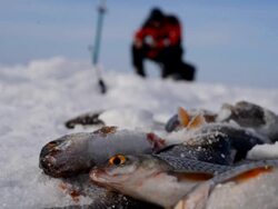 ice fishing Stock Footage
