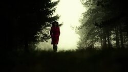 Woman walking through the woods Stock Footage