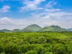 Mountains, forests Stock Footage