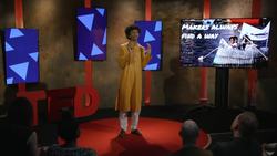 TED: A life-saving invention that prevents human stampedes | Nilay Kulkarni Instructional Video