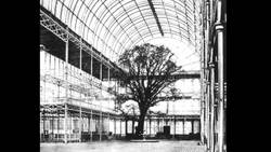 The Crystal Palace: The story of a great building Instructional Video