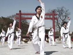 MS TD TU Korean Martial arts group performing taekwondo  / Kyungkido, Bucheon, South Korea Stock Footage
