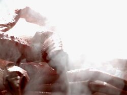 SLO MO ECU View of  snow crab legs straining through steamy in background / Los Angeles,CA,USA Stock Footage