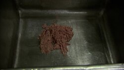 Ground meat falls into a stainless steel vat in a sausage making plant. Stock Footage