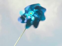 Pinwheel Stock Footage