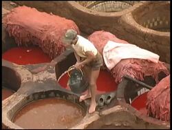 Fez Dye Worker Walking Over Vats, Morocco Stock Footage