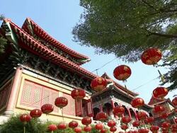 Beautiful chinese lantern Stock Footage