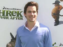 Matthew Bomer at the 'Shrek Forever After' Premiere at Universal City CA. (Footage by WireImage Video/GettyImages) Stock Footage
