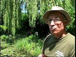 The enduring appeal of Claude Monet News Clip