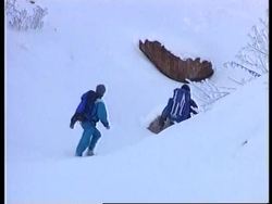 Russia-Mining students dig up prehistoric fossils News Clip