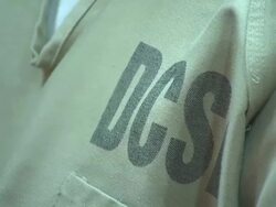 DCS On Inmates Shirt Stock Footage