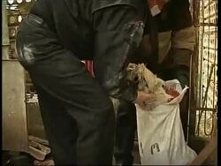 More measures to prevent bird flu as new case of H5N1 strain is found in swan News Clip