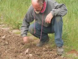 NTSC: Garden Work Stock Footage