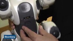 Saving Sony's Aibo Robot Dogs News Clip